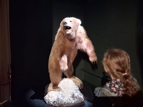 fionadbear.jpg fionadbear.jpg
