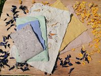 Image of handmade paper with seeds and flowers