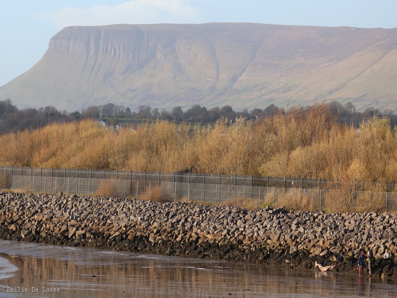 Image of the shark, framed by Benbulben courtesy of Emilie De Loose, Irish Whale and Dolphin Group