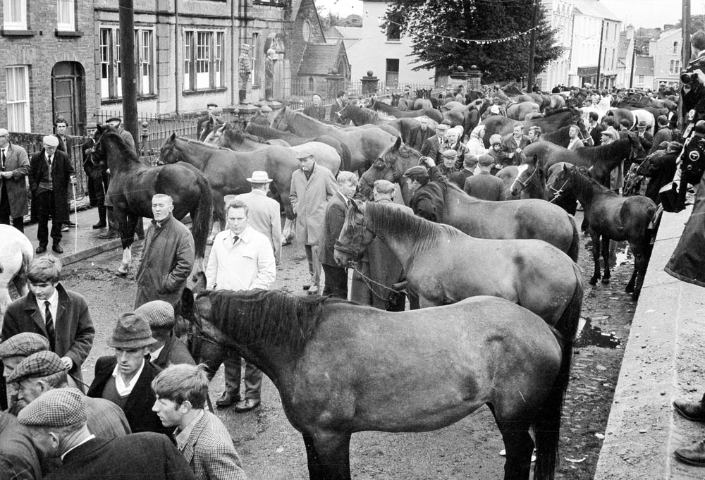 Horse Fair/Donkey Fair