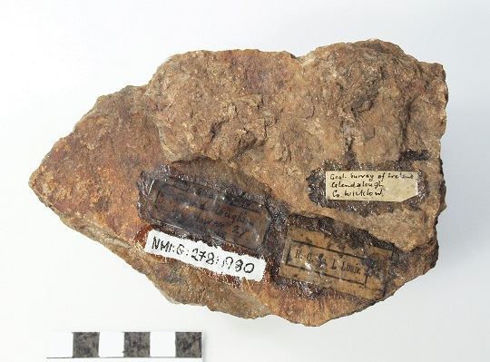 Lead-Bearing Minerals from Glendalough